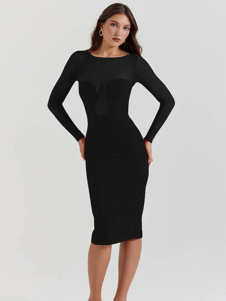 Long Sleeve Mesh Charming Bodycon Midi Dress