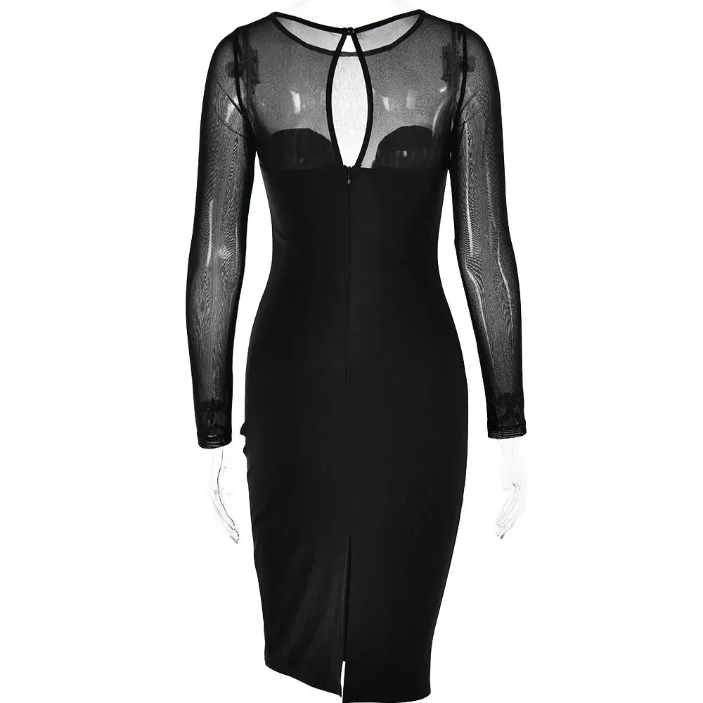 Long Sleeve Mesh Charming Bodycon Midi Dress