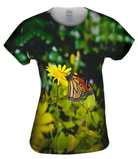 Monarch Daisy Butterfly